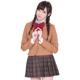 ブレザー制服スカート