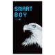 スマートボーイ (12個入)